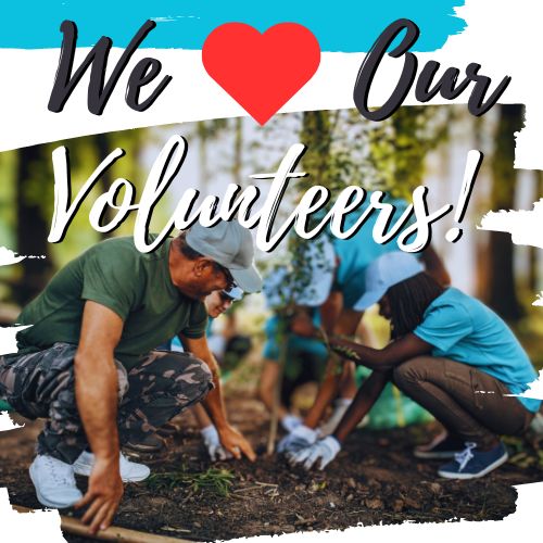 We love our volunteers!