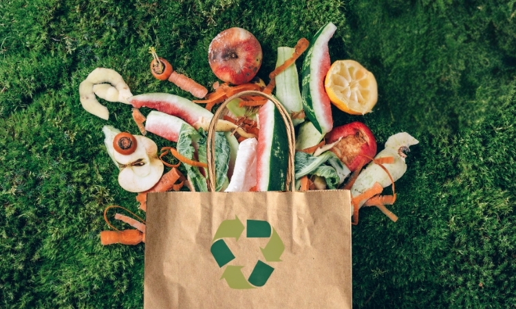 Compost Bags, Part of the 2026 MCCS Summer Reading Program: Plant A Seed, Read