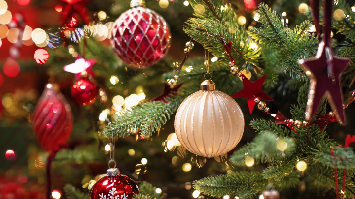 Festival of Trees PI
