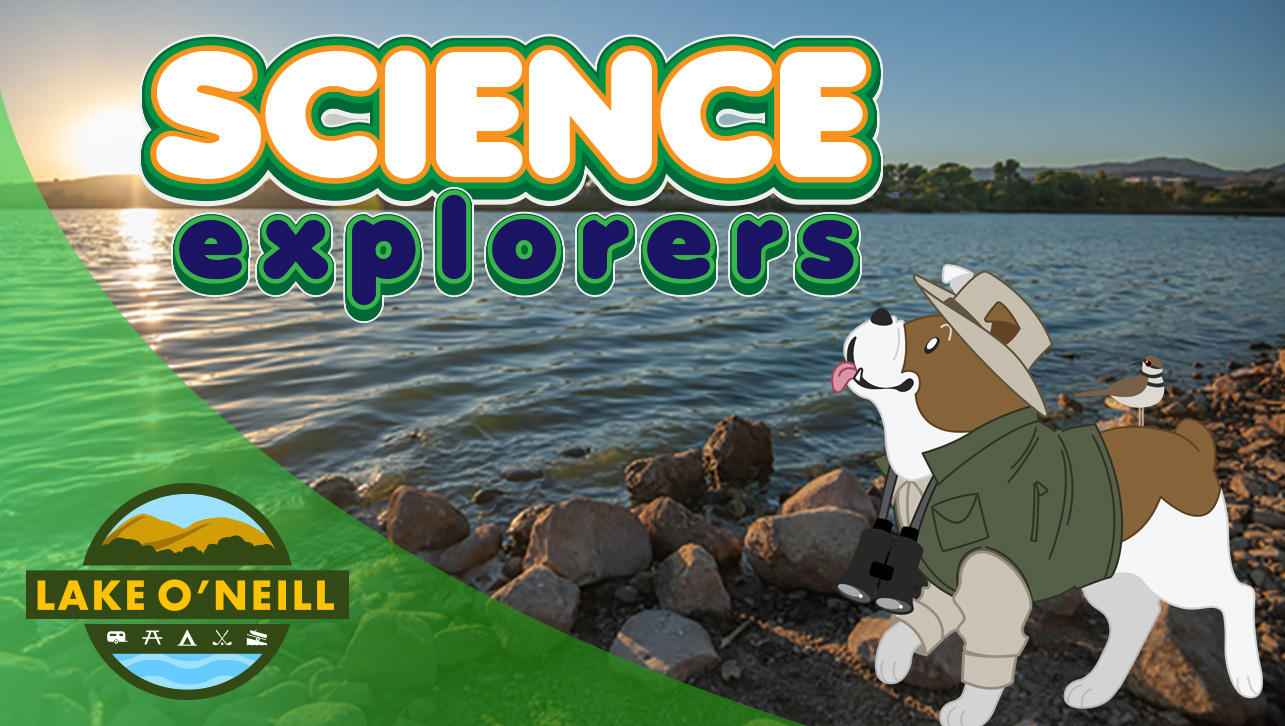 Science Explorers: Riparian Explorers – Discovering Life Along the Water