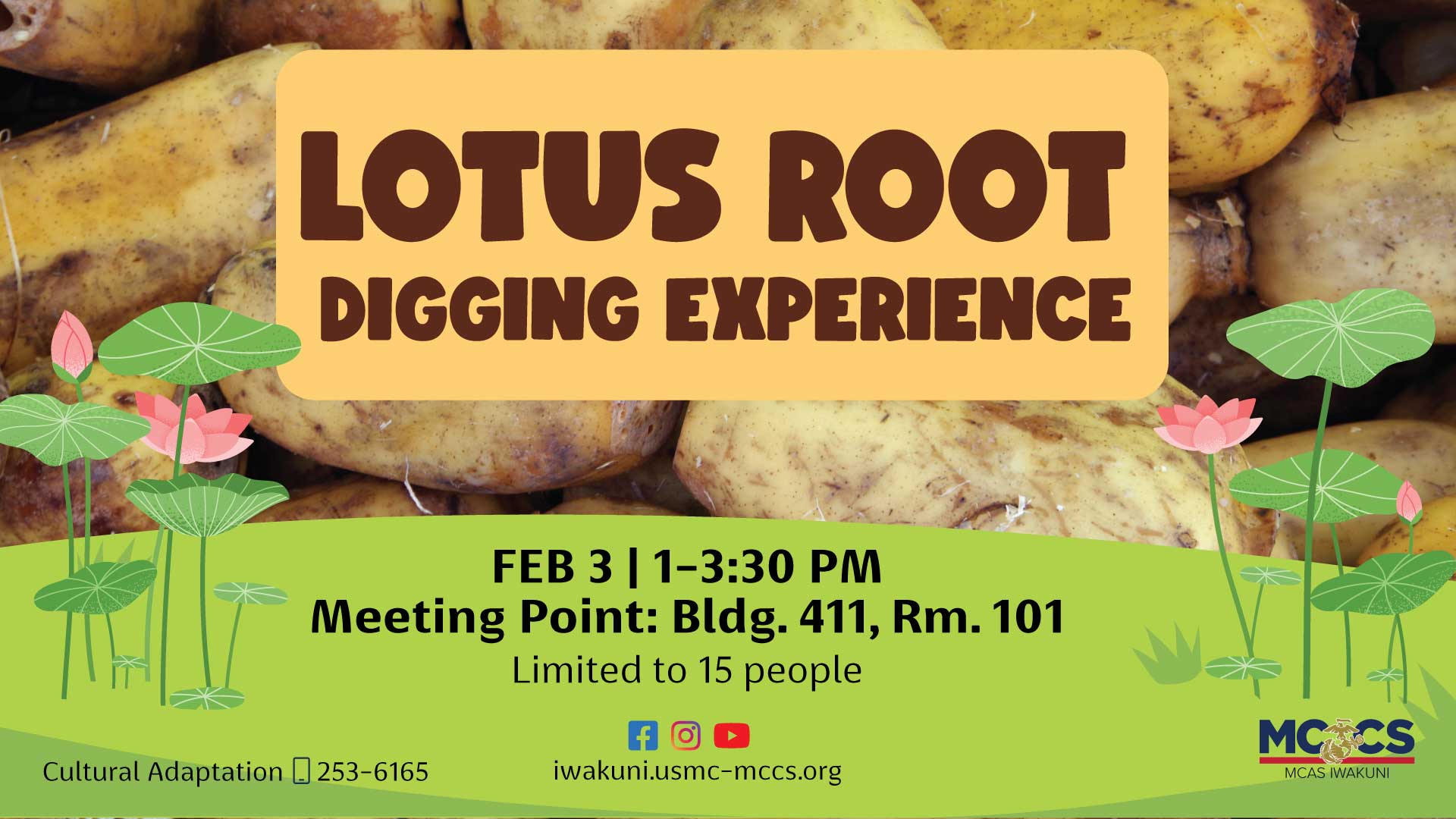 Lotus Root Digging Experience