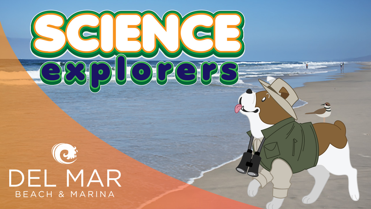 Science Explorers: Ocean Heroes – Learning About Plastic and Cleaning Our Coast