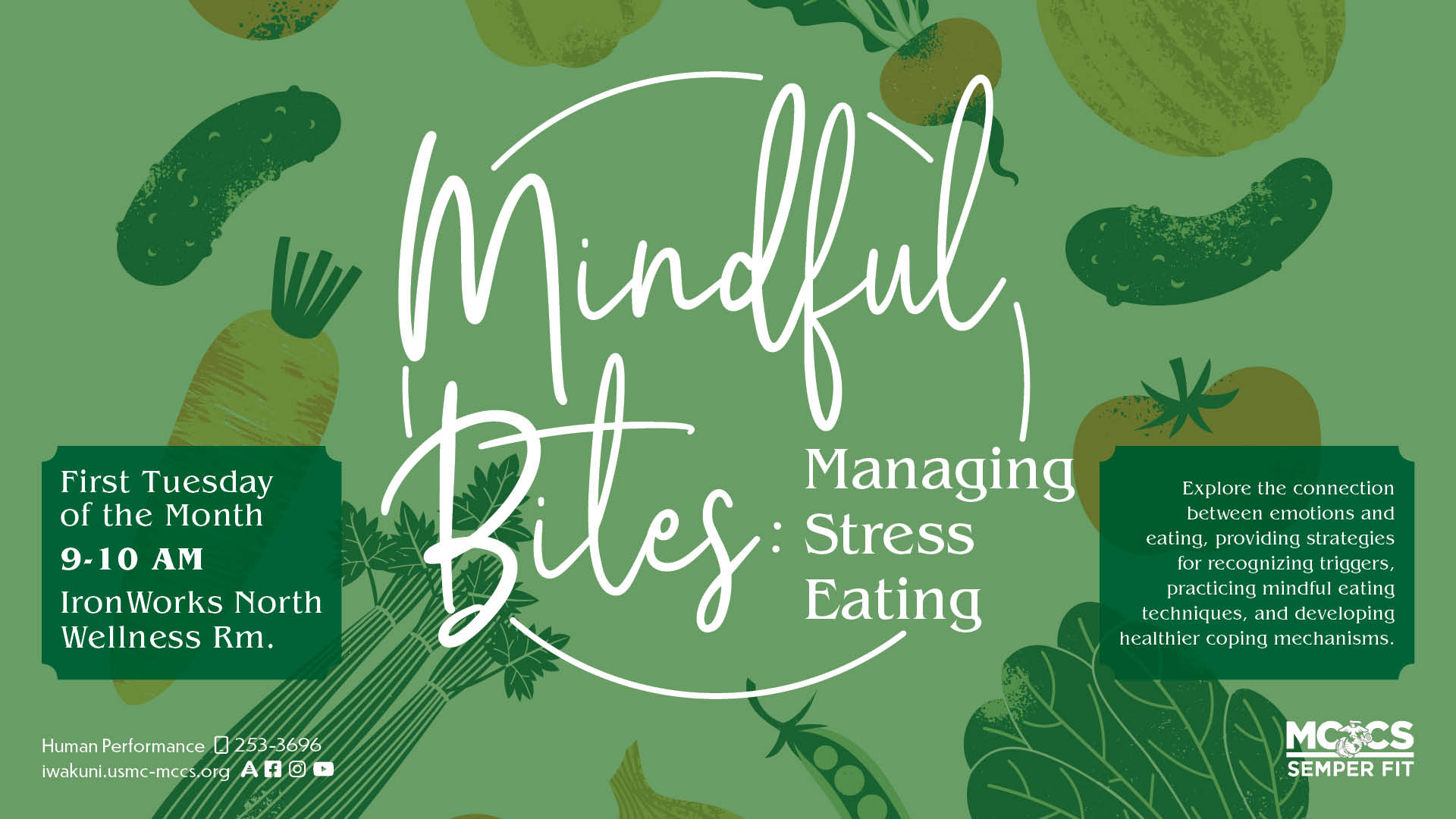 Mindful Bites: Managing Stress Eating