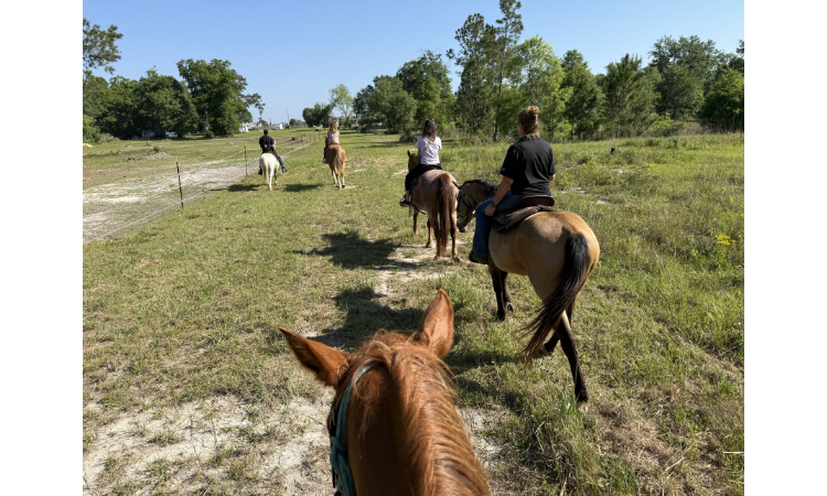 SMP Potluck Event at Ride and Roam Equine