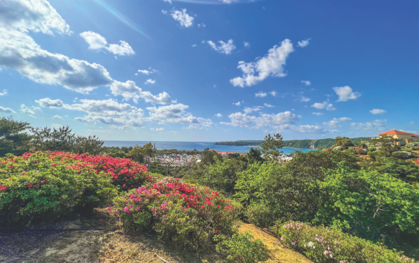 Azalea Flower Festival Trip