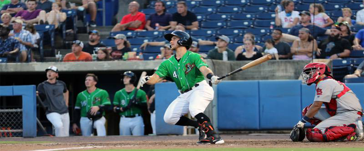 Norfolk Tides Baseball Game